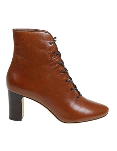 Tory Burch Vienna Ankle Boots In Leather Colour In Brown