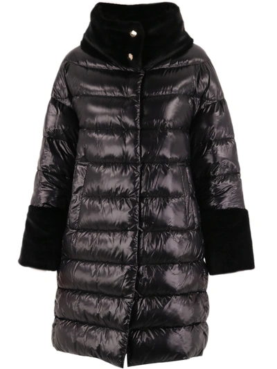 Herno Down Jacket With Black Ecofur