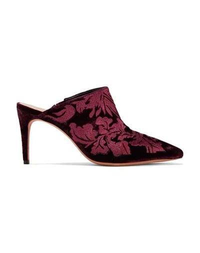 Alexandre Birman Mules & Clogs In Maroon