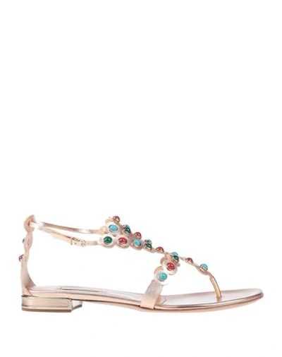 Casadei Toe Strap Sandals In Copper