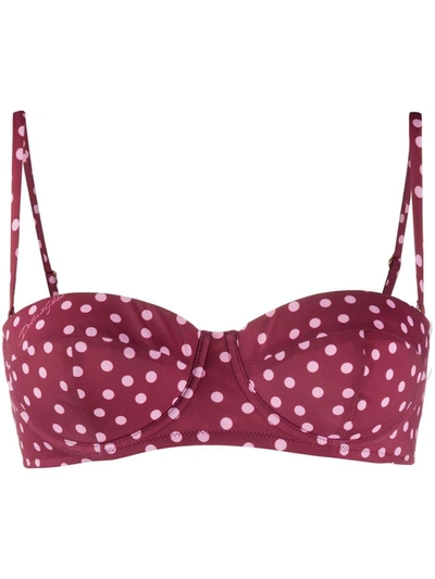 Dolce & Gabbana Burgundy Nylon Bikini