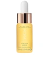 Kora Organics Mini Noni Glow Radiant Face Oil With Antioxidants 0.34 oz/ 10 ml In N,a