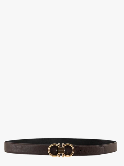 Ferragamo Belt In Brown