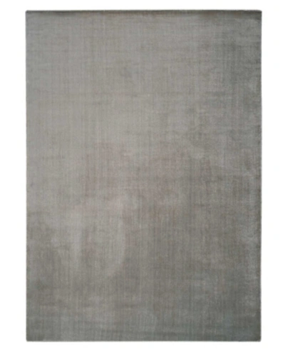 Nourison Starlight Sta06 Beige 5'3" X 7'5" Area Rug