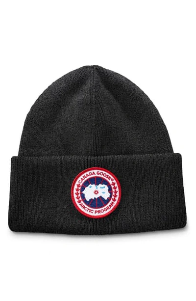 Canada Goose Arctic Disc Merino Wool Toque Beanie In Wild Berry