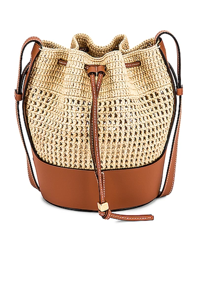 Loewe Paula's Ibiza Balloon S号酒椰叶纤维单肩包 In Brown,beige