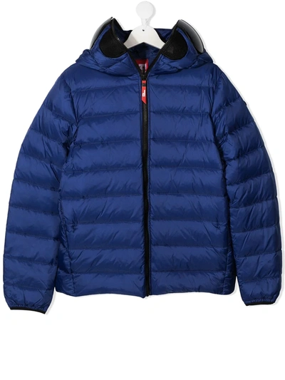 Ai Riders On The Storm Young Teen Zipped Padded Jacket In Blue