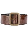 Saint Laurent Crocodile-embossed Square Corset Belt In Brown