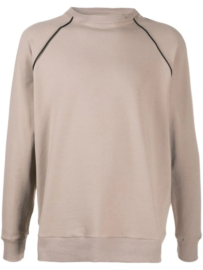 Alchemy Crewneck Sweatshirt In Neutrals