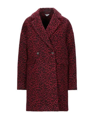 Liu •jo Coats In Red