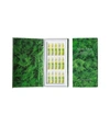 Royal Fern + Net Sustain Phytoactive Anti-oxidative Ampoules, 15 X 2ml - One Size In Green