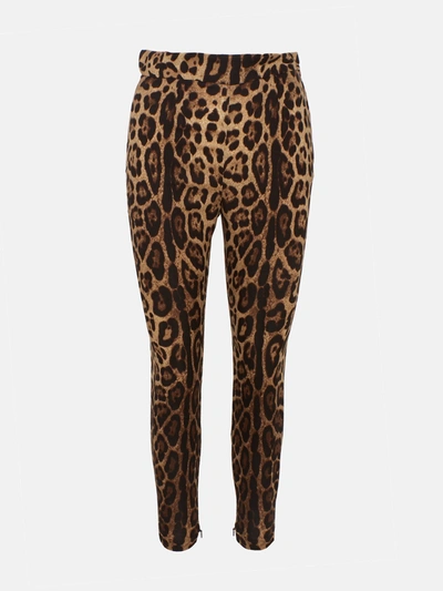 Dolce & Gabbana Leopard-print Trousers In Brown