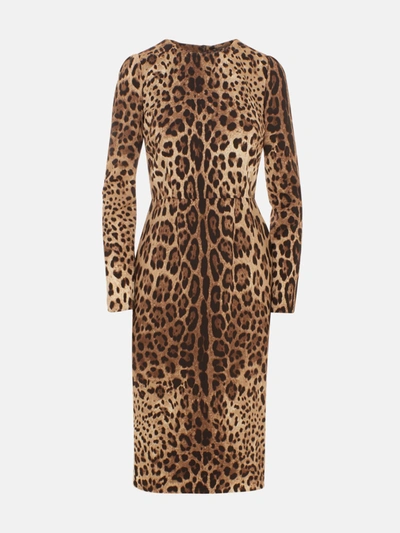 Dolce & Gabbana Leopard Print Dress In Brown