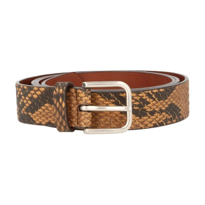 Dries Van Noten Belts In Camel