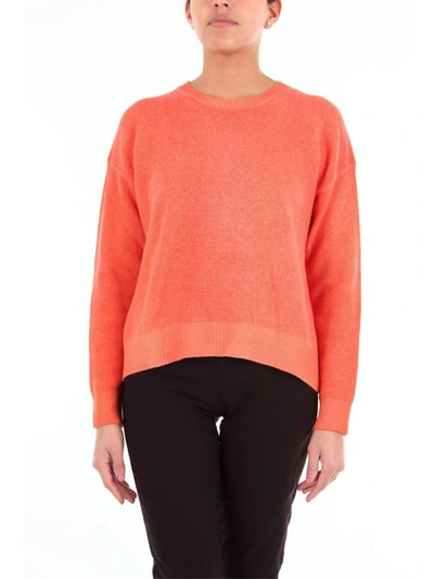 Altea Lobster-colored Crew Neck Sweater With Long Sleeves In Orange