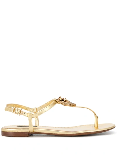 Dolce & Gabbana Nappa Leather Devotion Thong Sandals In Gold