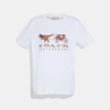 COACH REXY AND CARRIAGE T SHIRT,23011