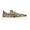 Chloé Women's Lauren Snakeskin-embossed Leather Sneakers In Dark Greige