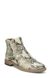 Franco Sarto Marcus Booties Women's Shoes In Beige Leather