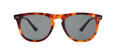 Taylor Morris Eyewear Bassett