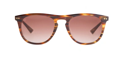 Taylor Morris Eyewear Bassett