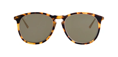 Taylor Morris Eyewear Aldridge