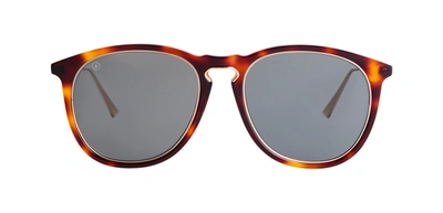 Taylor Morris Eyewear Aldridge