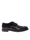 TOD'S TOD'S BROGUES DERBY SHOES IN BLACK