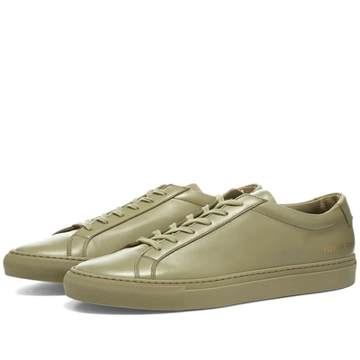 Common Projects Achilles 板鞋 In Green