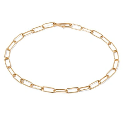 Annoushka Women's Mythology 14k Yellow Gold Cable Chain Large Bracelet