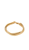 Jenny Bird Priya Layered Bracelet In Gold