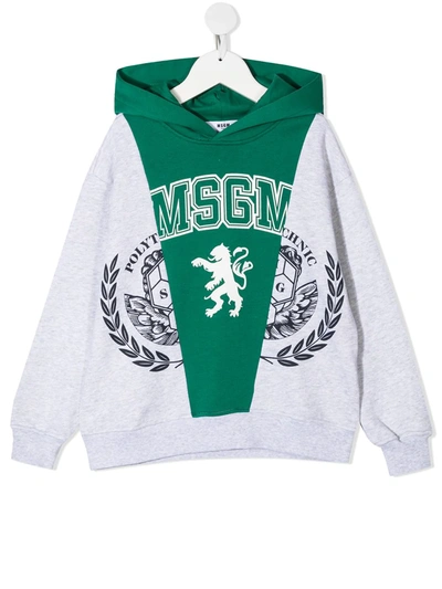 Msgm Kids' Logo印花连帽衫 In Grey