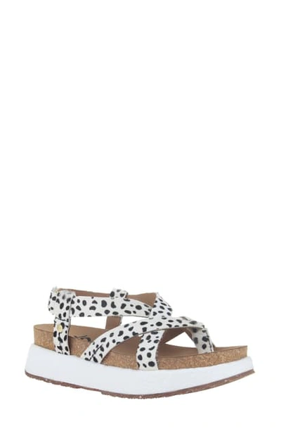 Otbt Springer Platform Sandal In Dalmatian Print Leather