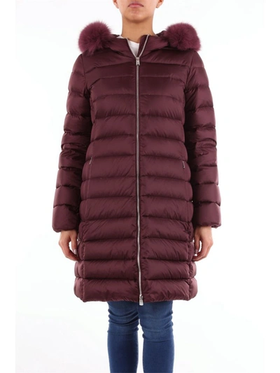 Add Women's Burgundy Polyamide Down Jacket