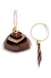 Gas Bijoux Marly Feather Hoop Earrings In Multi Nude