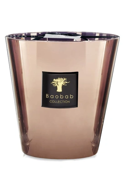 Baobab Collection Les Exclusives Cyprium Max Candle