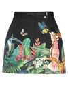 Dolce & Gabbana Woman Shorts & Bermuda Shorts Black Size 10 Cotton, Elastane In Black
