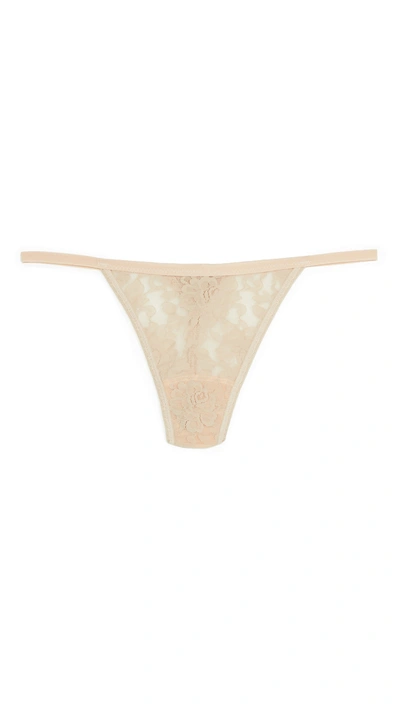 Hanky Panky Signature Lace High Rise G-string In Brown