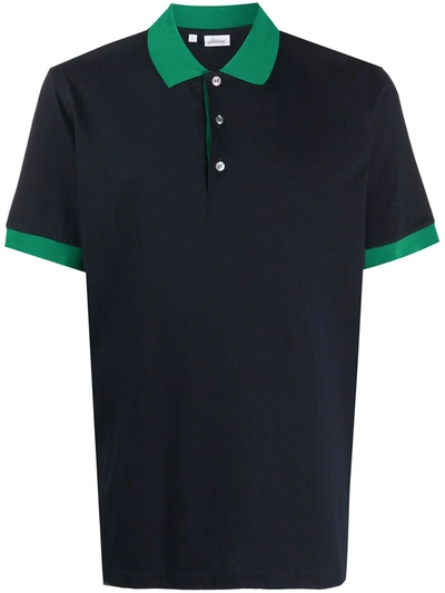 Brioni Contrast Detailed Polo Shirt In Blue