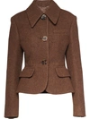 Miu Miu Single-breasted Fitted Jacket In Brown