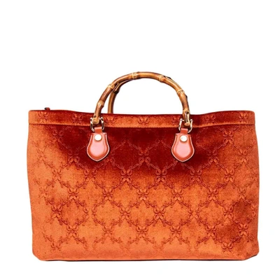 Roberta Di Camerino Medium Handbag In Brown