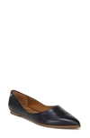 Zodiac Hill Pointed Toe Flat In Black