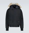 CANADA GOOSE CHILLIWACK飞行员夹克,P00519642