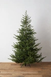 ANTHROPOLOGIE FAUX NORWAY SPRUCE,51789618