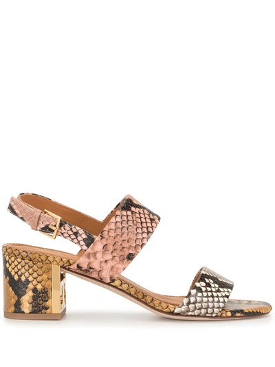 Tory Burch Gigi Colour-block Snake-effect Leather Sandals In Beige