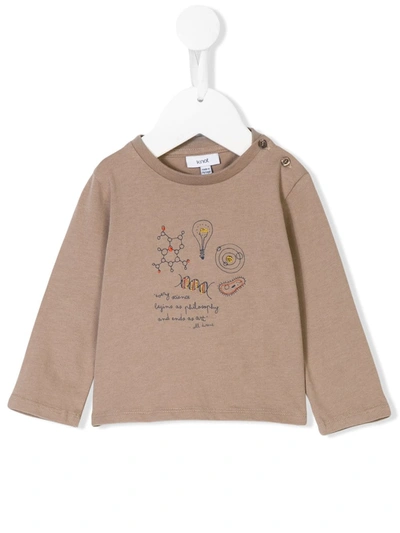 Knot Babies' Science Sweatshirt In Grey