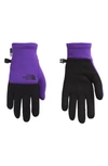 The North Face Etip Gloves In Peakprpl/tnfblk