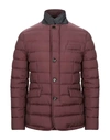 Moorer Down Jacket In Cocoa