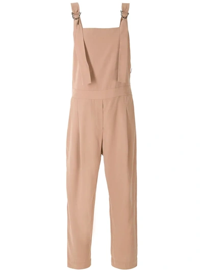 Alcaçuz Amisha Sleeveless Jumpsuit In Brown