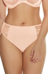 ELOMI CATE FULL FIGURE BRIEFS,EL4035